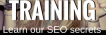 brisbane-seo-search-engine-optimisation-training_(7)